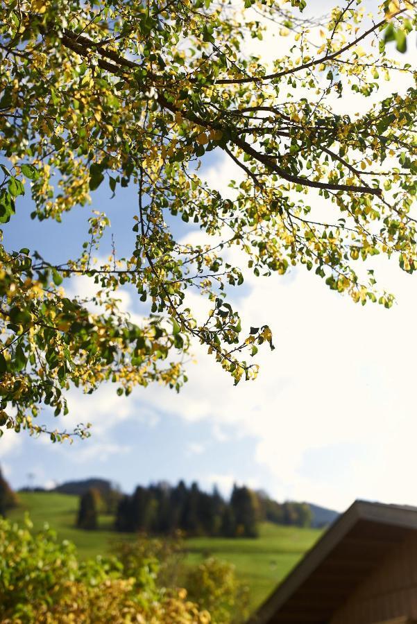 Beim Rohrer Apartment Kirchberg in Tirol Exterior photo